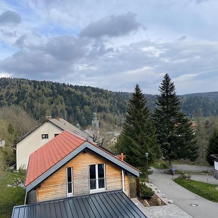 Traumferienwohnung Todtmoos - Appartment Mit Schoenem Wintergarten Экстерьер фото